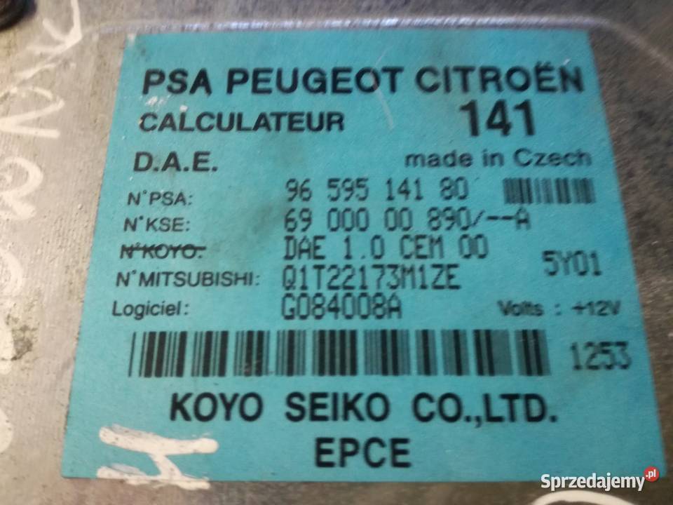 Modul wspomagania Peugeot Citroen wielkopolskie Mieleszyn