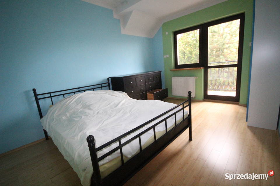 5pok 240met Dębowej BALKONOGRÓD2009 Mędłów internet