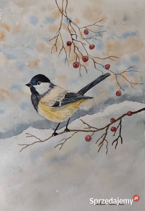 Akwarela Akwarelka Obraz pt Sikorka Wrocław sprzedam