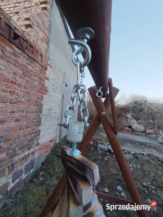 Kręciołek ogrodowy Szubin