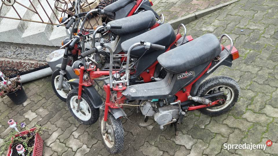 Motorynka stella zarejestrowana Hryniewicze
