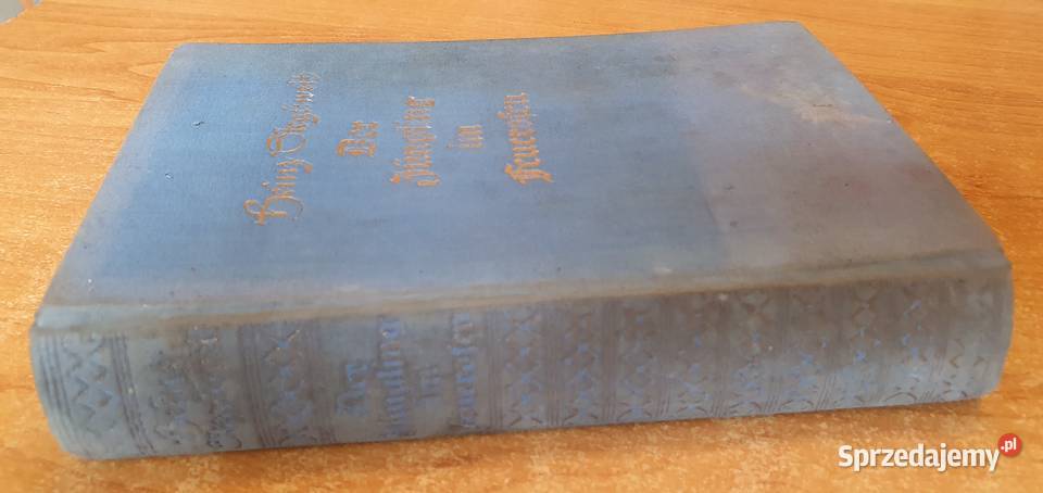 Heinz Steguweit Der Jungling im Feuerofen 1932 Bytom sprzedam