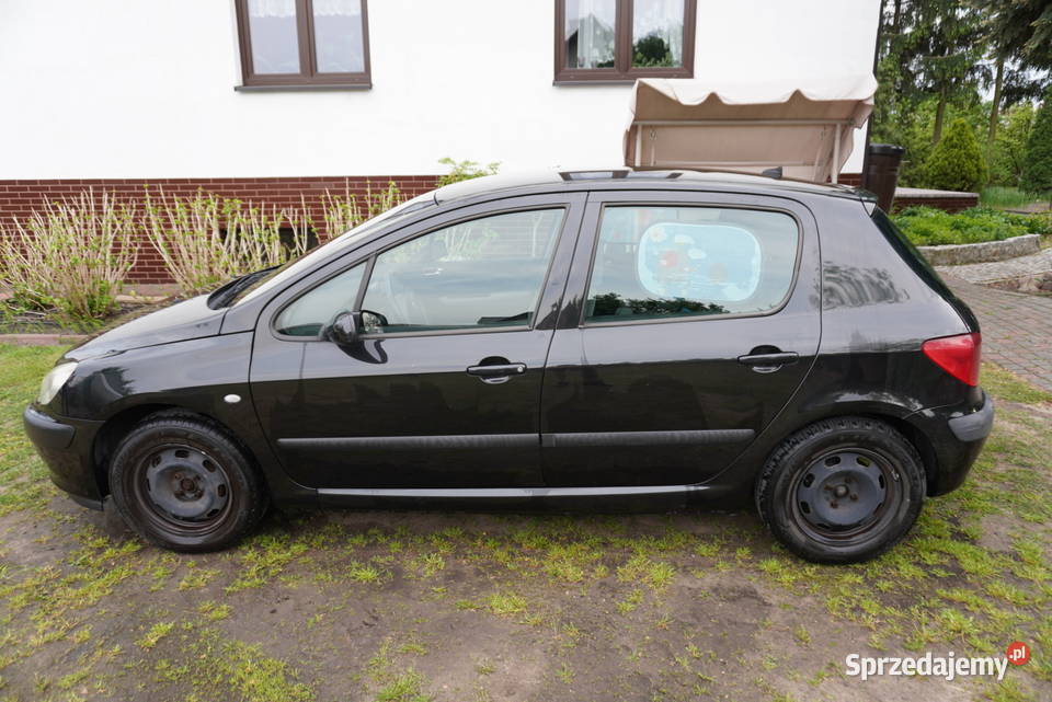 Peugeot 307 Mistral 2003 r 16 16V Benzyna 109 5