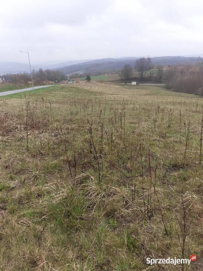 Srzedam teren 116 ha w całości lu b działki Babice