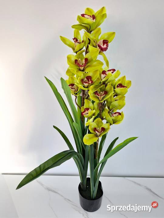 Storczyk sztuczny Cymbidium w doniczce 105