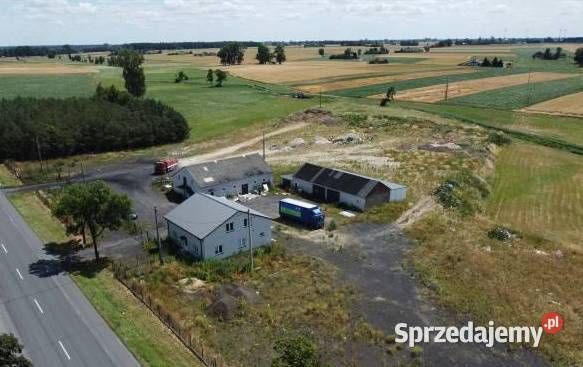 Syndyk KRJ FOOD spz oo sprzeda zespół Syndyk sprzeda