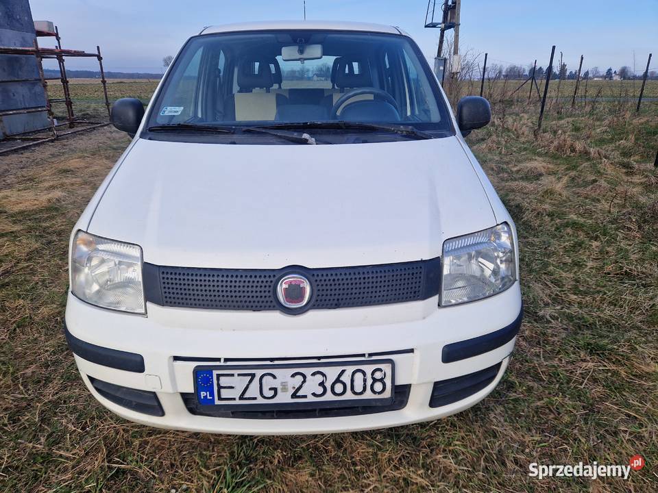 Fiat panda 2011 poj13 dissel multijet z klimą i Gniezno