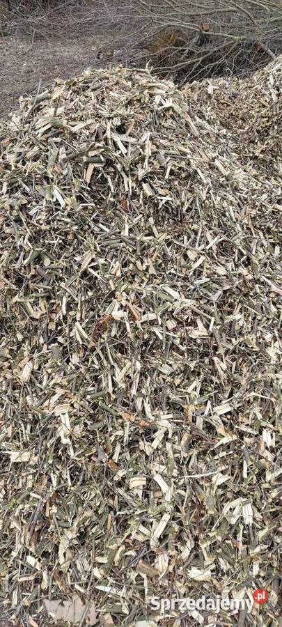 Zrębki akacjowośliwkowe Chełm sprzedam