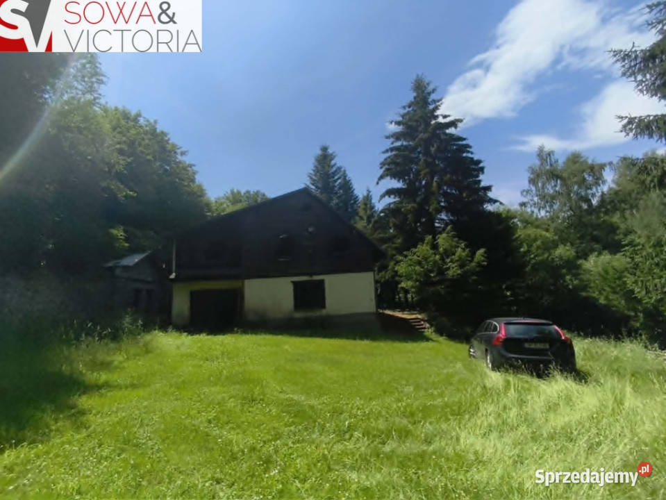 Dom bez sąsiedztwa działka 9300 m 2 Walim
