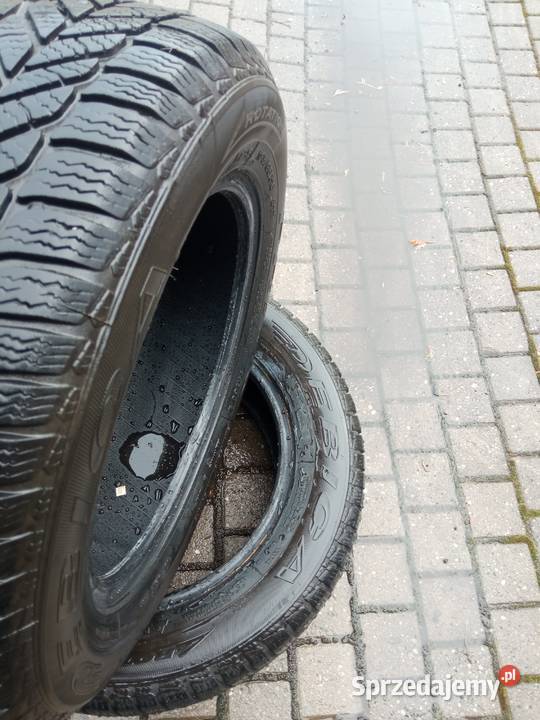 opony 1956515 r dębica frigo 2 bieżnik ok 65 mm śląskie Rybnik sprzedam