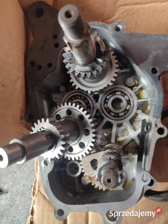 Dinli 110 Częstochowa