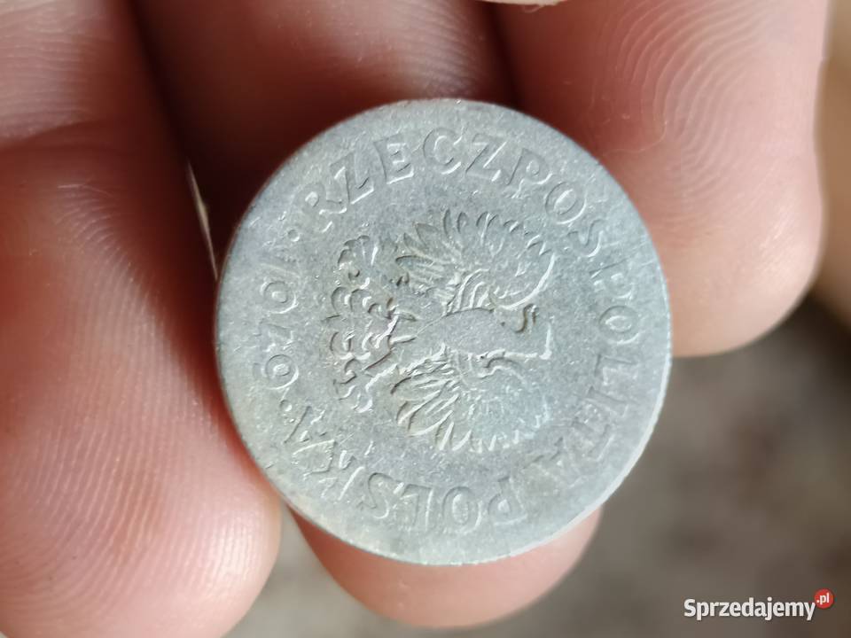 Sprzedam monete 50 gr 1949 r lllllll Chełm