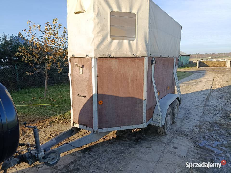 Przyczepa do przewozu koni Radzyń Podlaski