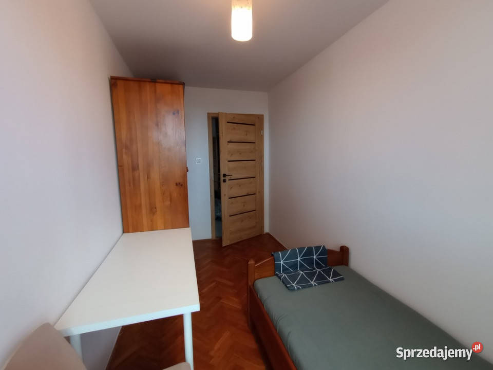 Elbląg mieszkanie na wynajem 38m2 sprzedam