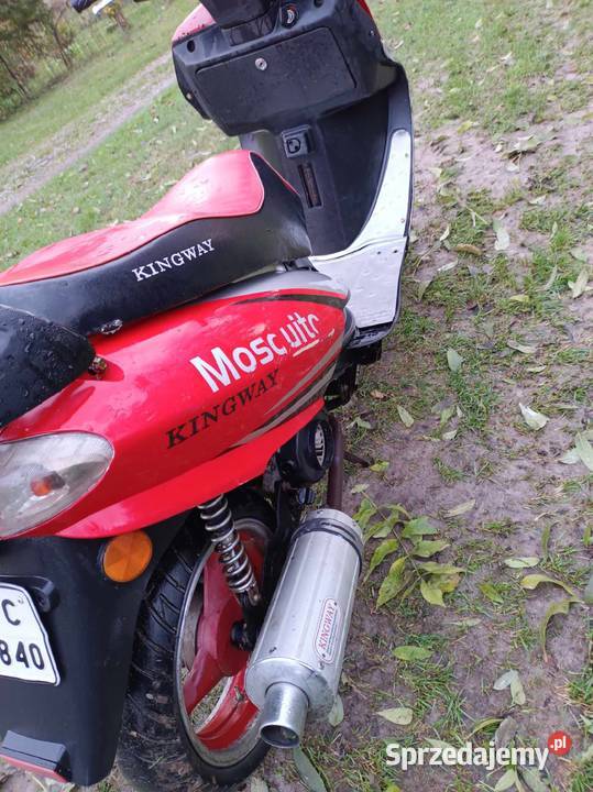 Kingway Mosquito Izbica