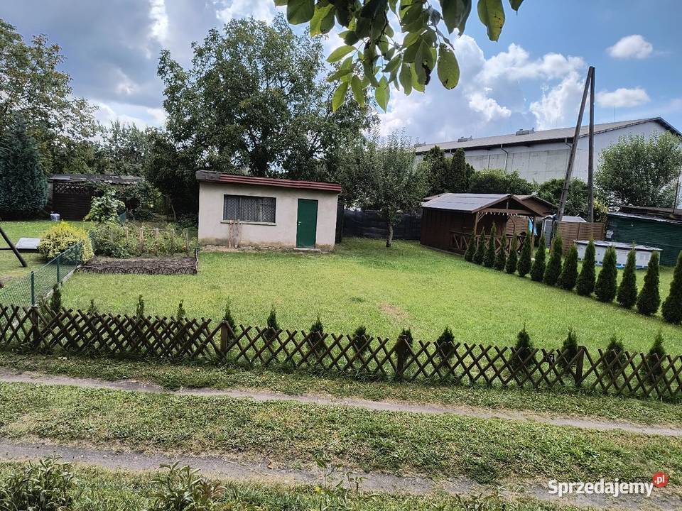 Działka ROD 284m2 Krotoszyn sprzedam