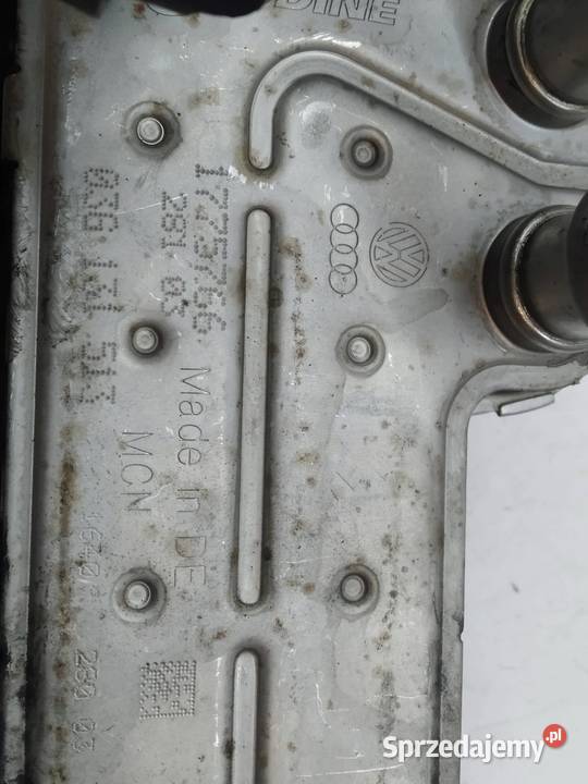 CHŁODNICA SPALIN 03G131513 20 TDI VW Volkswagen Rok produkcji 2003 Recyrkulacja spalin EGR świętokrzyskie