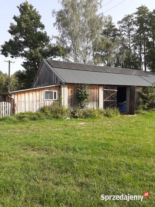 Sprzedam dom stajnia kryty lonżownik ujeżdżalnia 109m2