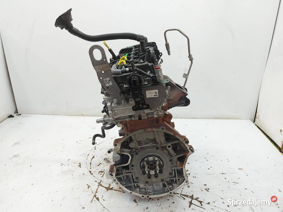 Transit Custom II 2024 silnik motor engine 20d osobowe