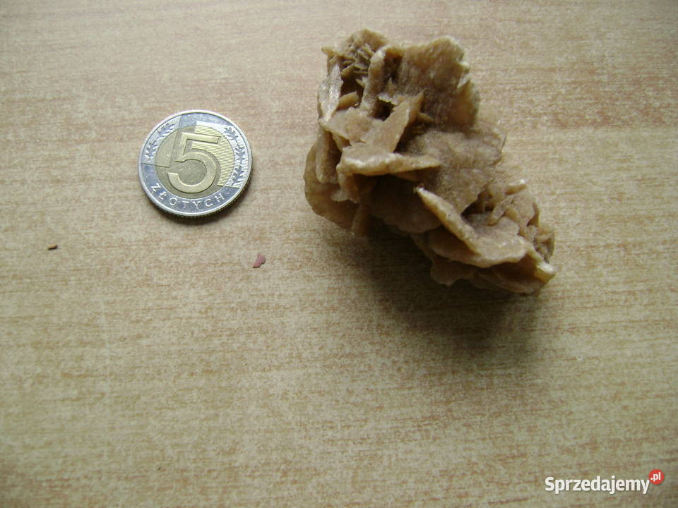 Starocie z PRL Minerały Róża Pustyni z Sahary Gdynia