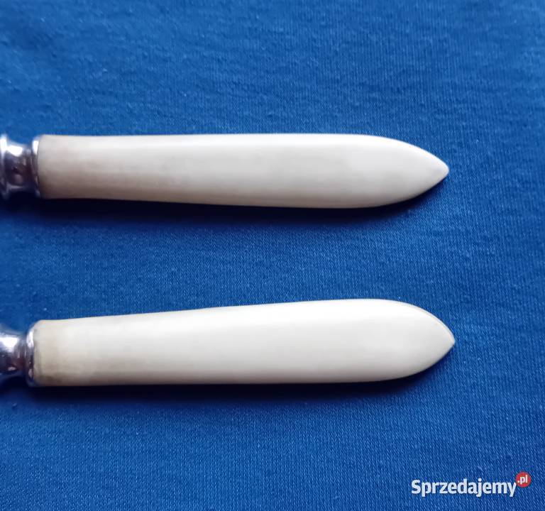 Dwa widelce ze stali nierdzewnej z ebonitowymi Koźminek