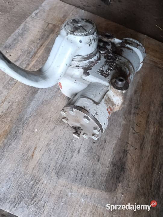 Półserwo wielkopolskie