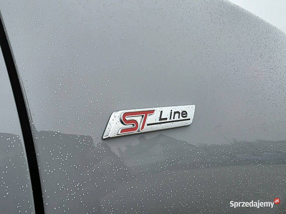 Ford Puma serwis ASO irej 2022 automat hak II światła LED Rydułtowy