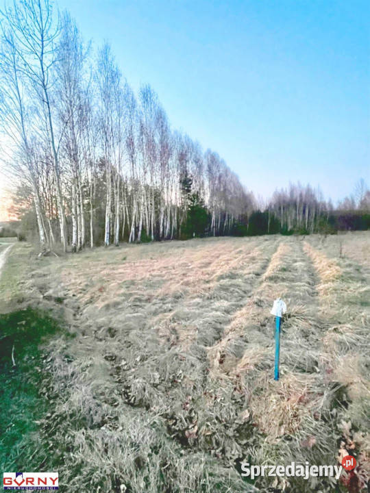 Działka Machory 1300 metrów Maleniec sprzedam