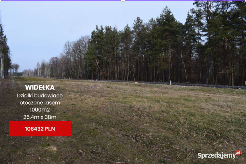 Działki 10a pod zabudowę pod lasem Widełka utwardzona Sprzedaż