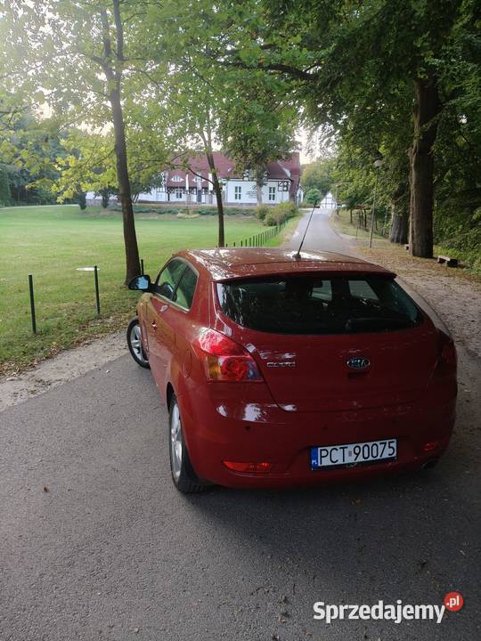 Sprzedam Kia Proced 160000km Piła sprzedam