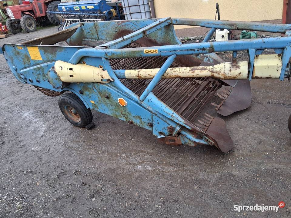 Kopaczka do ziemniaków elewatorowa Kwaśniów Górny sprzedam