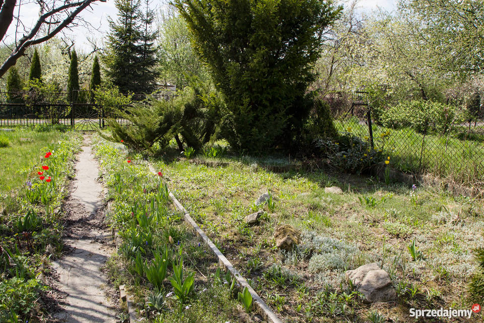 Ogródek działkowy Będzin niedaleko M1 Będzin