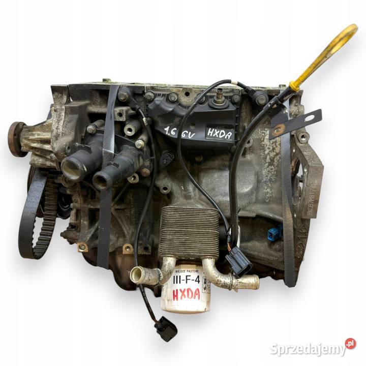 DÓŁ SILNIKA HXDA Ford Focus II MK2 C C 16 16V Ti osobowe Chełm