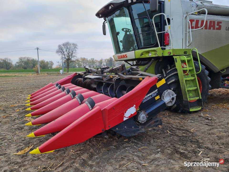 Przystawka do kukurydzy 8 rzędowa geringhoff 8 Branice