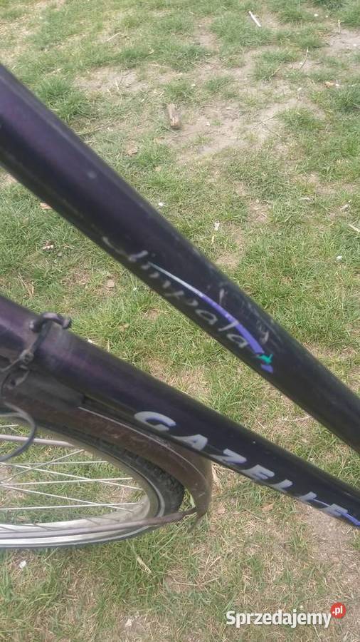 Rower gazelle impala