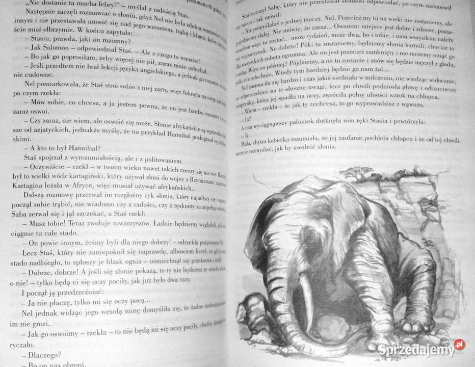 W pustyni i w puszczy H Sienkiewicz Lektura z lubelskie Chełm