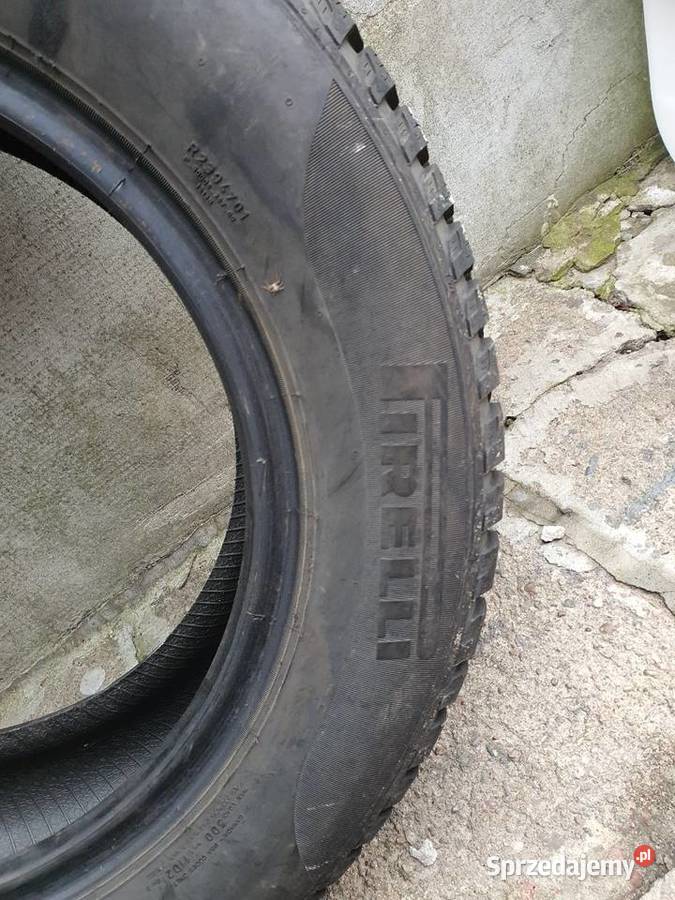 Opony zimowe pirelli Winter 1757014 Łask