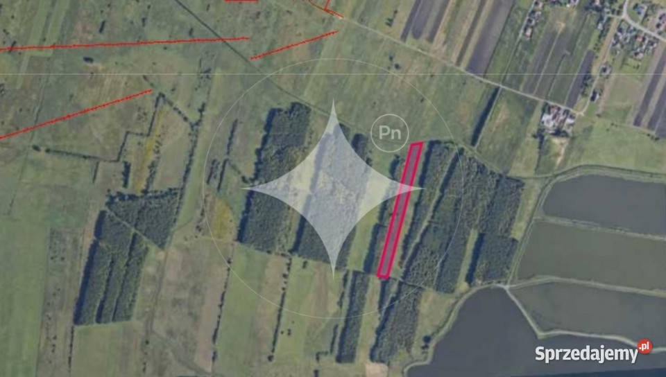 Piękna duża łąka z potencjałem w Pniówku rolna lubelskie Pniówek