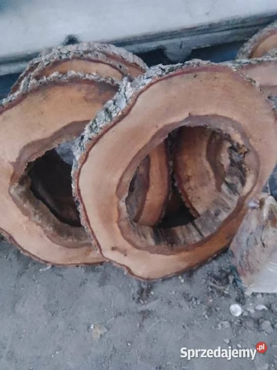 Sprzedam plastry dębowe i wiąza Leśnictwo Bochnia