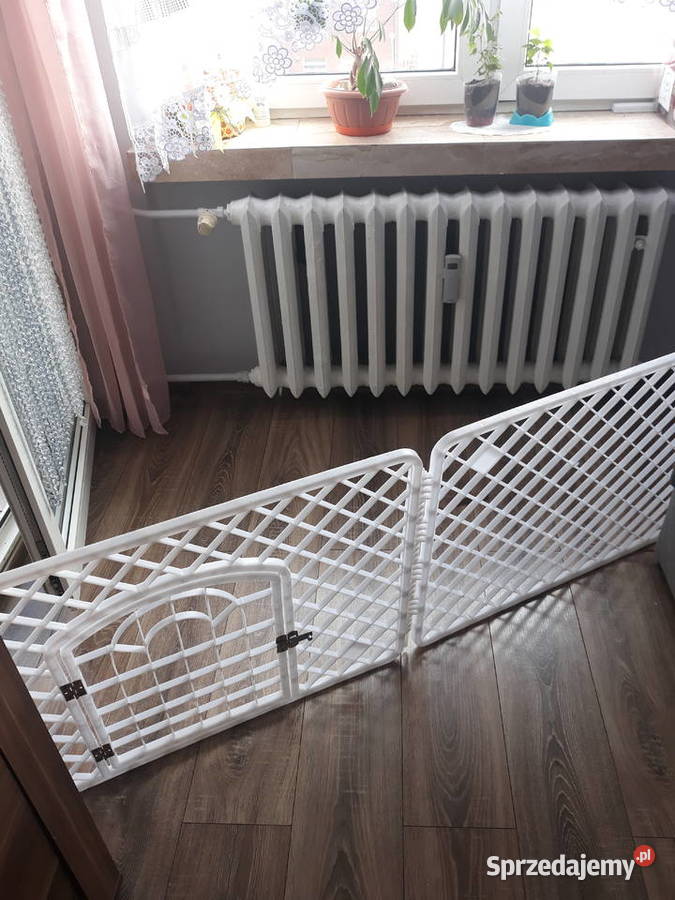 Kojec zagroda psa królika Wodzisław Śląski