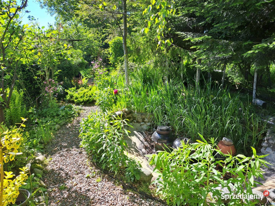 Dom położony w kameralnej i spokojnej okolicy