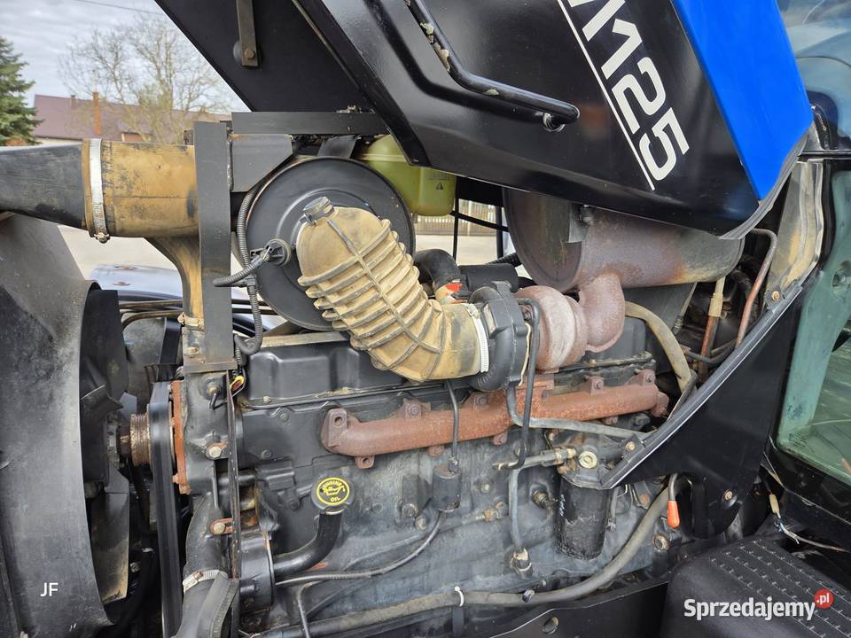 Holland TM 125 2001 SUPER STAN zadbany Sprawany mazowieckie Gąsewo