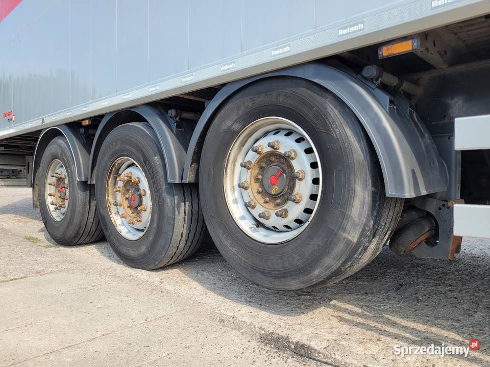 Reisch 2022 RSBS313 2022 SALON POLSKA Warszawa