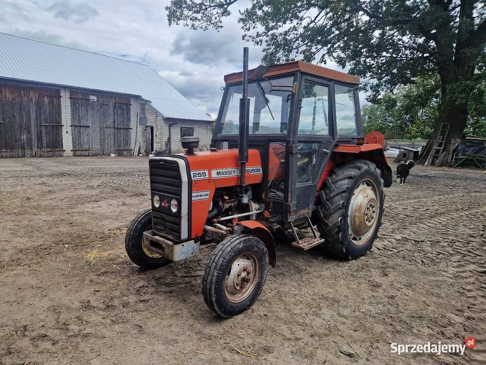 Massey ferguson 255 ursus 3512 c360 330 zetor Milejów