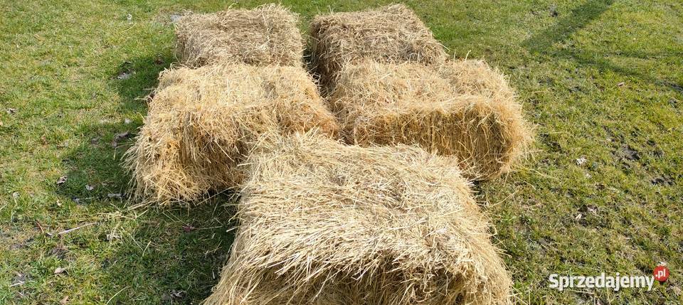 Siano Trawy, słoma Małomierzyce sprzedam