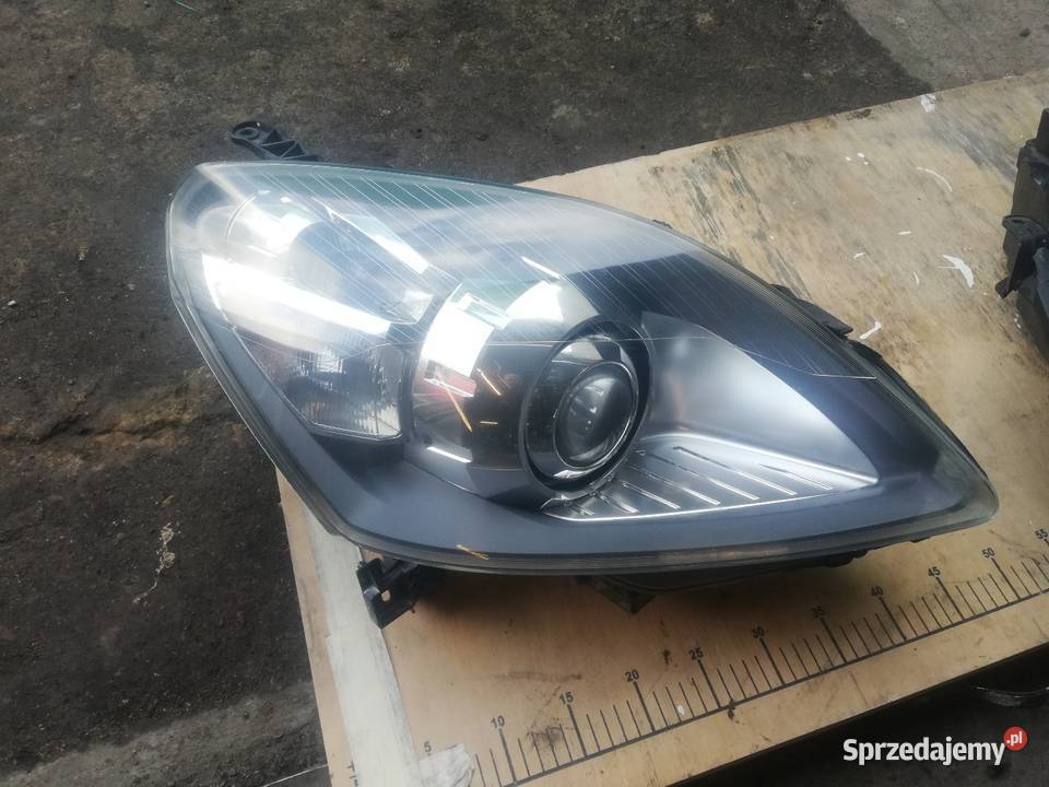 BXenon zafira b wszystkie modele Samochody na części Bydgoszcz