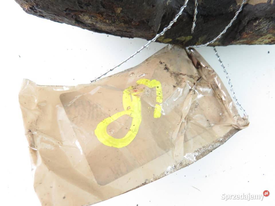 ZACISK LEWY PRZÓD HONDA STREAM osobowe sprzedam