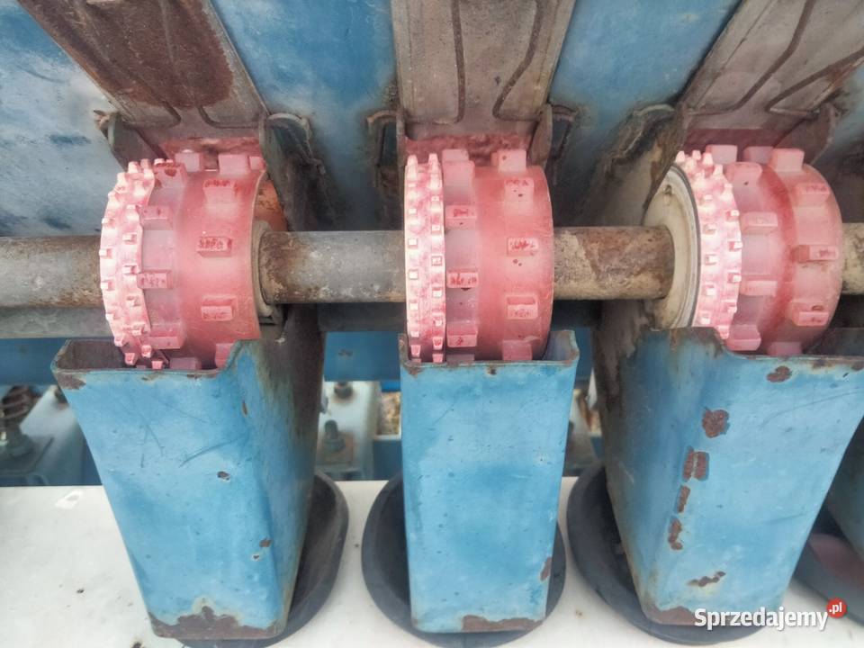 Siewnik poznaniak 6 Rejowiec Fabryczny