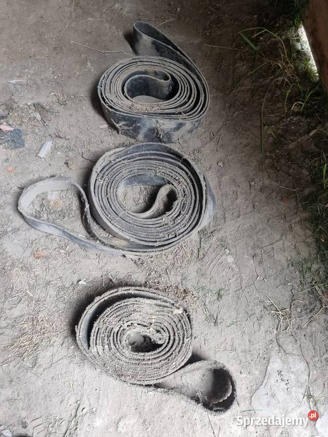 Pasy pas transmisyjnynapędowy Rząśnia