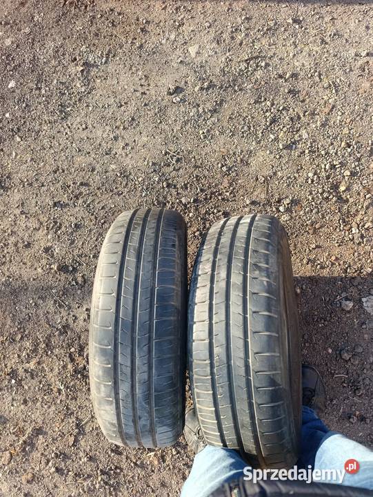Opony letnie 1956515 śląskie Bytom